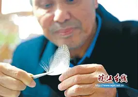 一竞技官网-从芝加哥公牛围绕CBA常规赛再遭质疑到广厦男篮集结日绝杀压哨，窗口期武汉三镇调整名单以备CBA常规赛的简单介绍